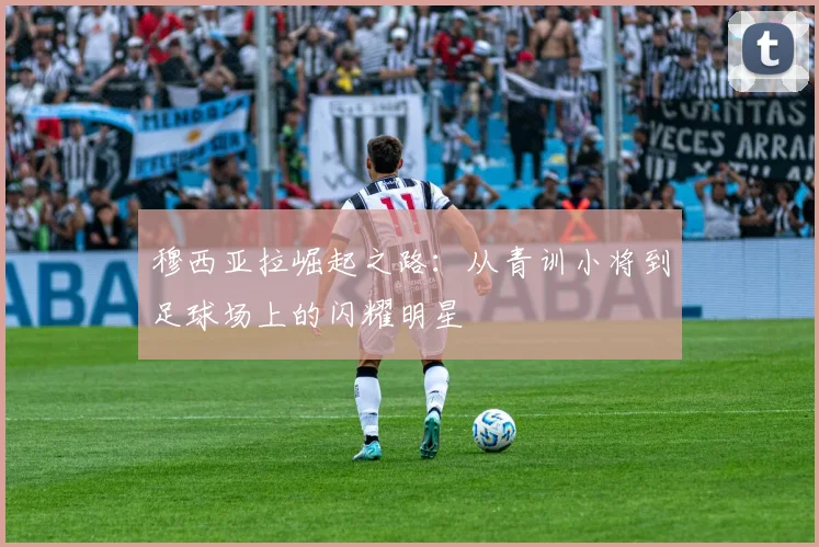 穆西亚拉崛起之路：从青训小将到足球场上的闪耀明星
