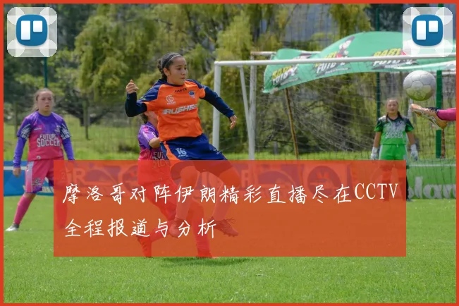 摩洛哥对阵伊朗精彩直播尽在CCTV全程报道与分析