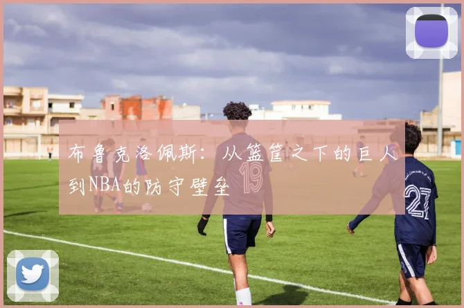 布鲁克洛佩斯：从篮筐之下的巨人到NBA的防守壁垒