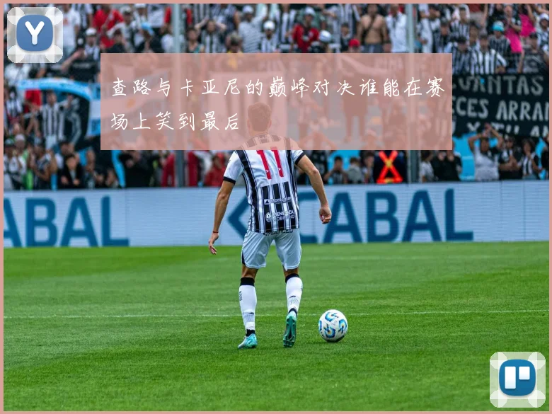 查路与卡亚尼的巅峰对决谁能在赛场上笑到最后