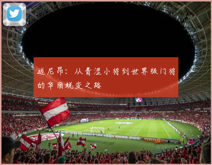 迈尼昂：从青涩小将到世界级门将的华丽蜕变之路